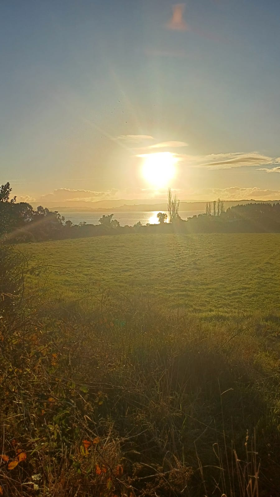 Atardecer dorado con vista al mar desde la pradera en Aldachildo