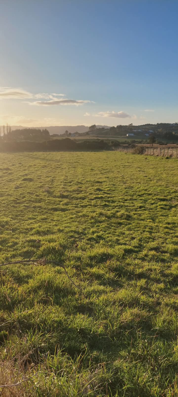 Pradera amplia al atardecer con cerco y colinas verdes
