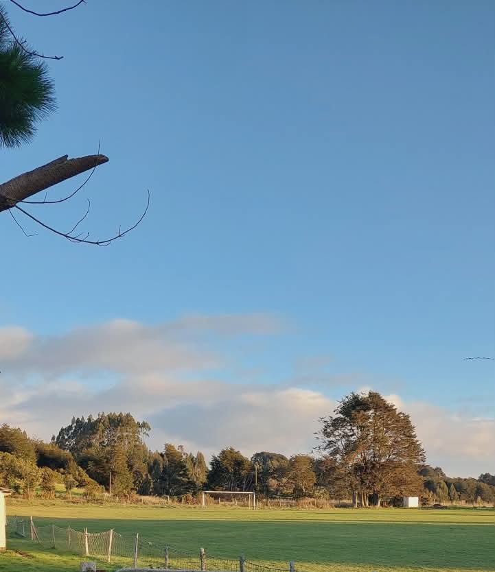 Pradera verde con cerco y vista a colinas en Aldachildo