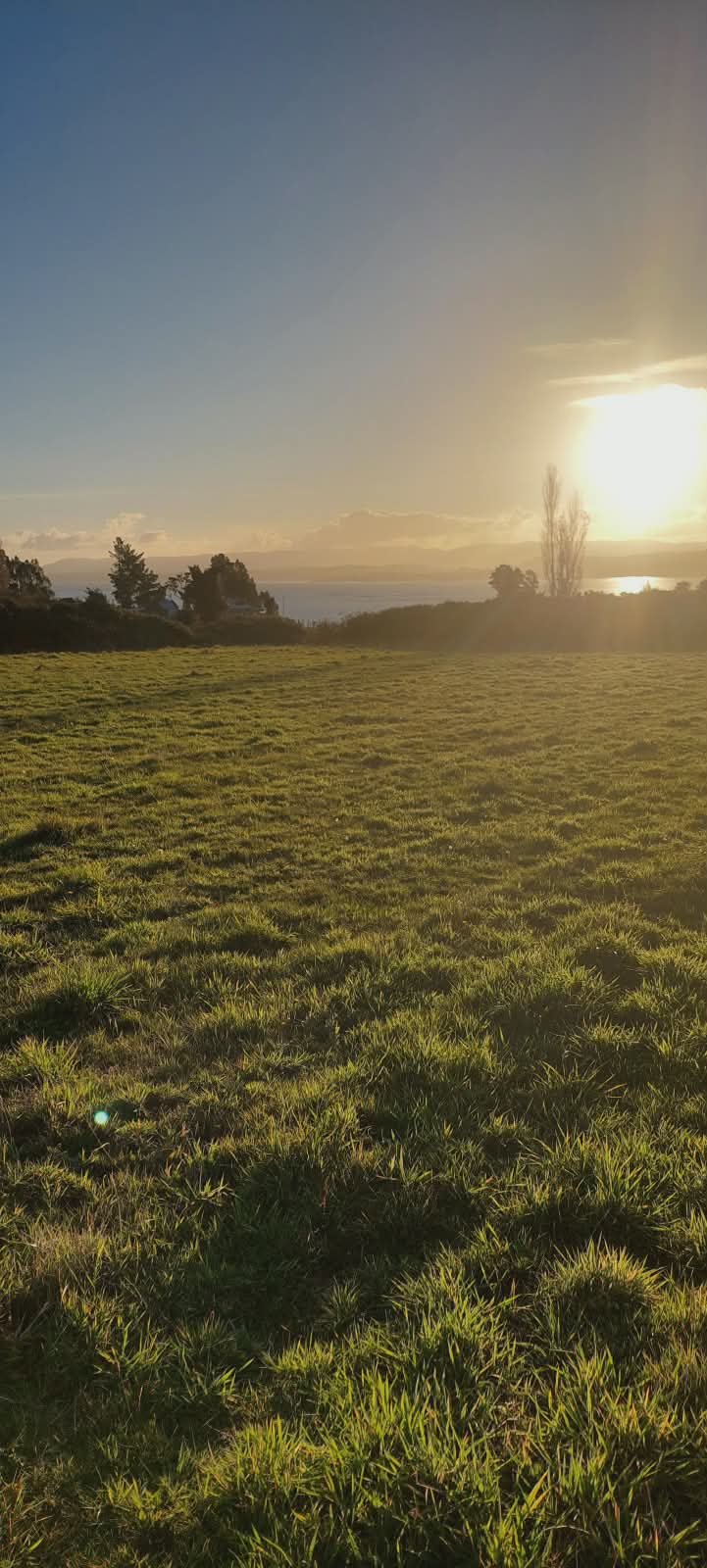 Vista panorámica con vegetación y colinas al fondo