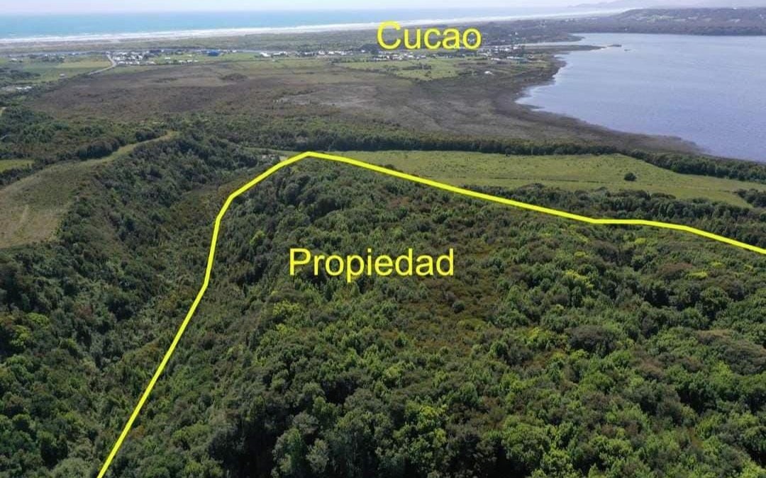 Vista aérea de la propiedad con bosque nativo y pueblo de Cucao al fondo