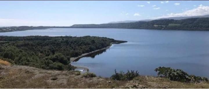 Vista panorámica al Lago Cucao desde el cerro con bosque nativo