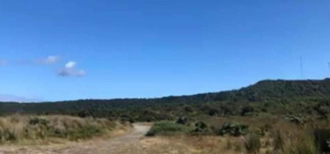 Camino de acceso con vegetación nativa y cerros al fondo en Cucao
