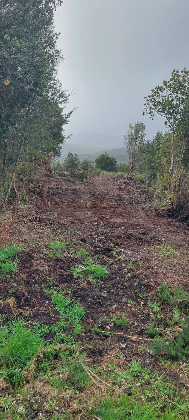 Pradera verde con cerco y vegetación nativa