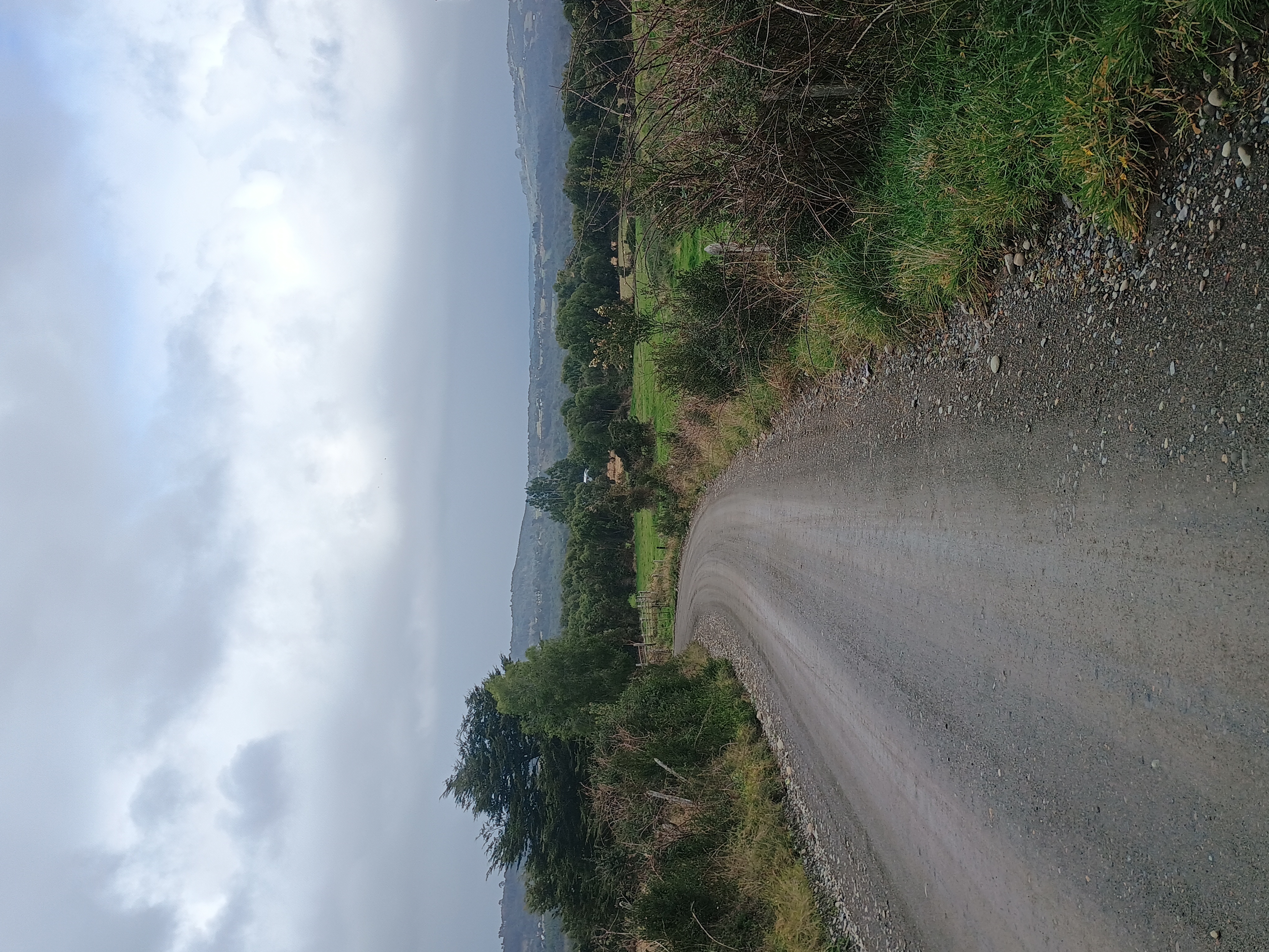 Camino rural con curva y vista a la cordillera de Chiloé