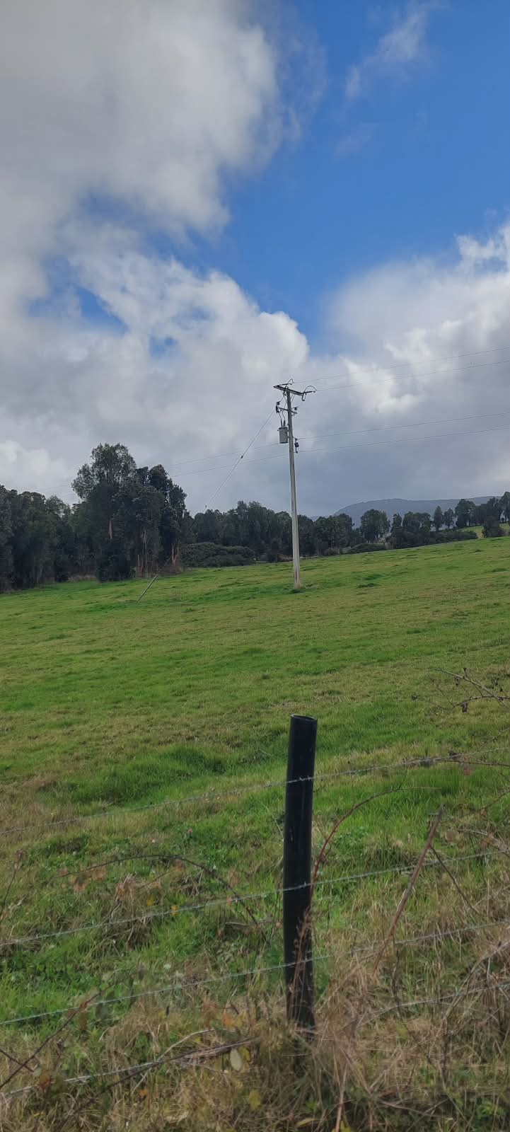 Terreno con poste eléctrico y praderas verdes en Chonchi